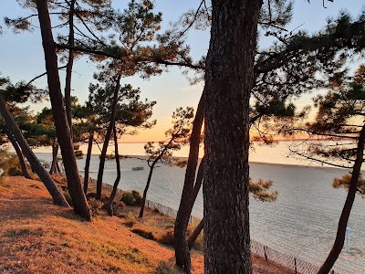Photo 3 de Plage Pereire