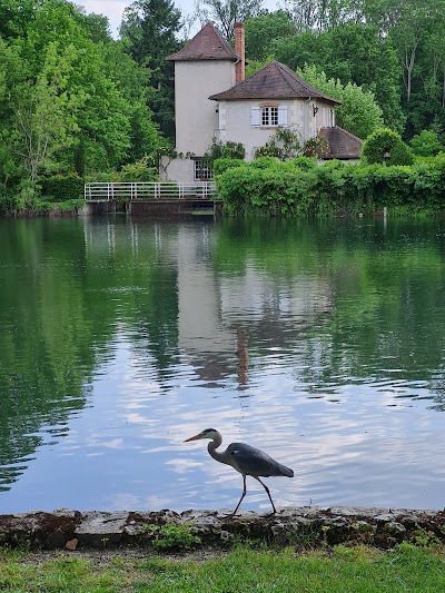 Photo 4 de Promenade des Moulins du Loiret