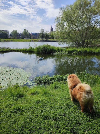 Photo 4 de Parc du Lion