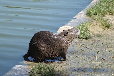 Photo 4 of Parc Borély