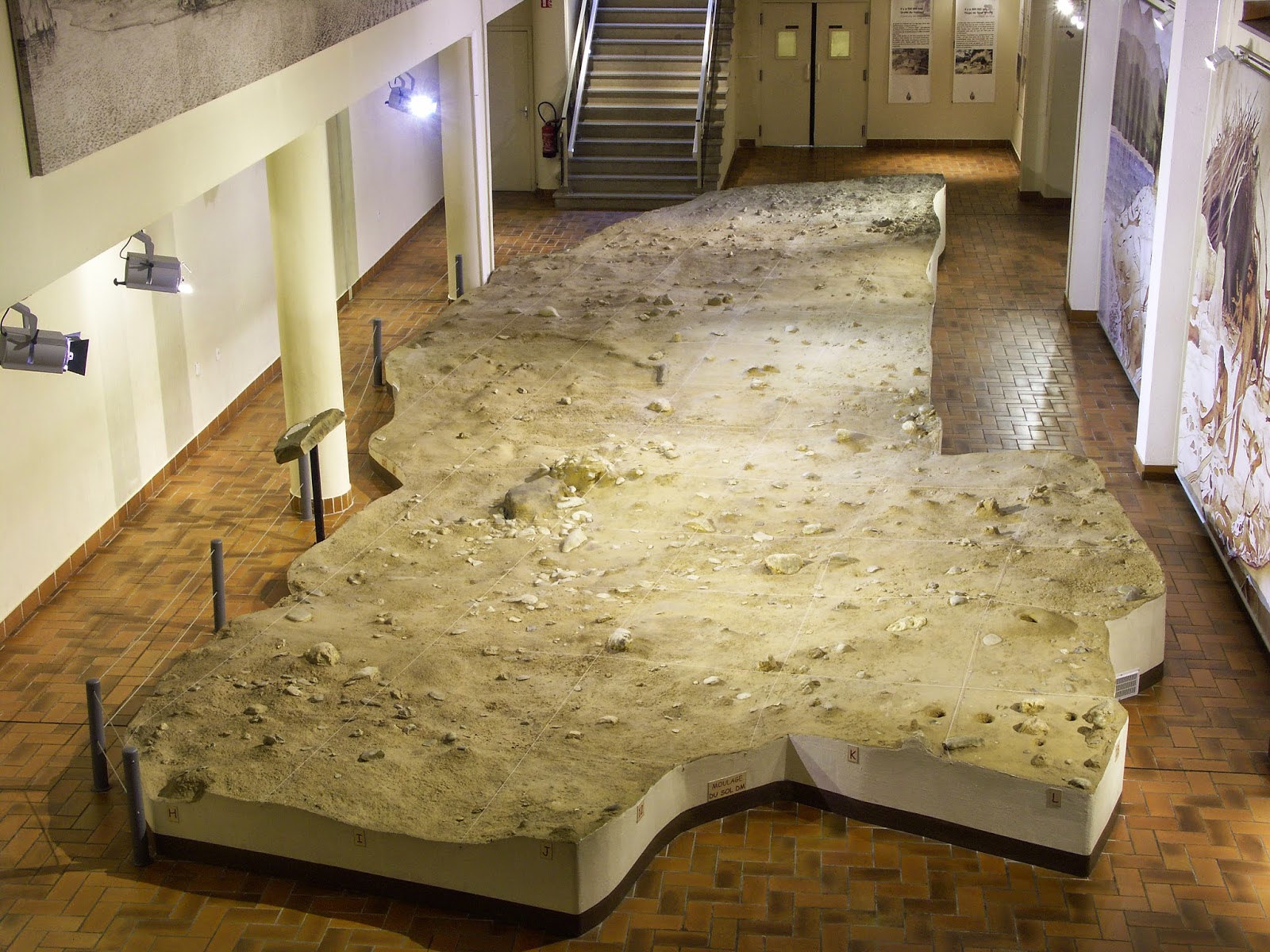 Photo 4 de Musée de Préhistoire de Terra Amata