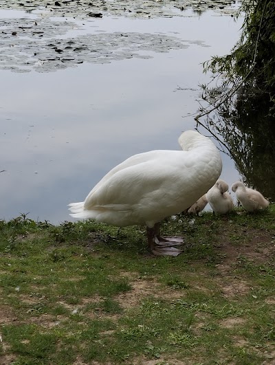 Photo 4 de Parc de la Ballastière