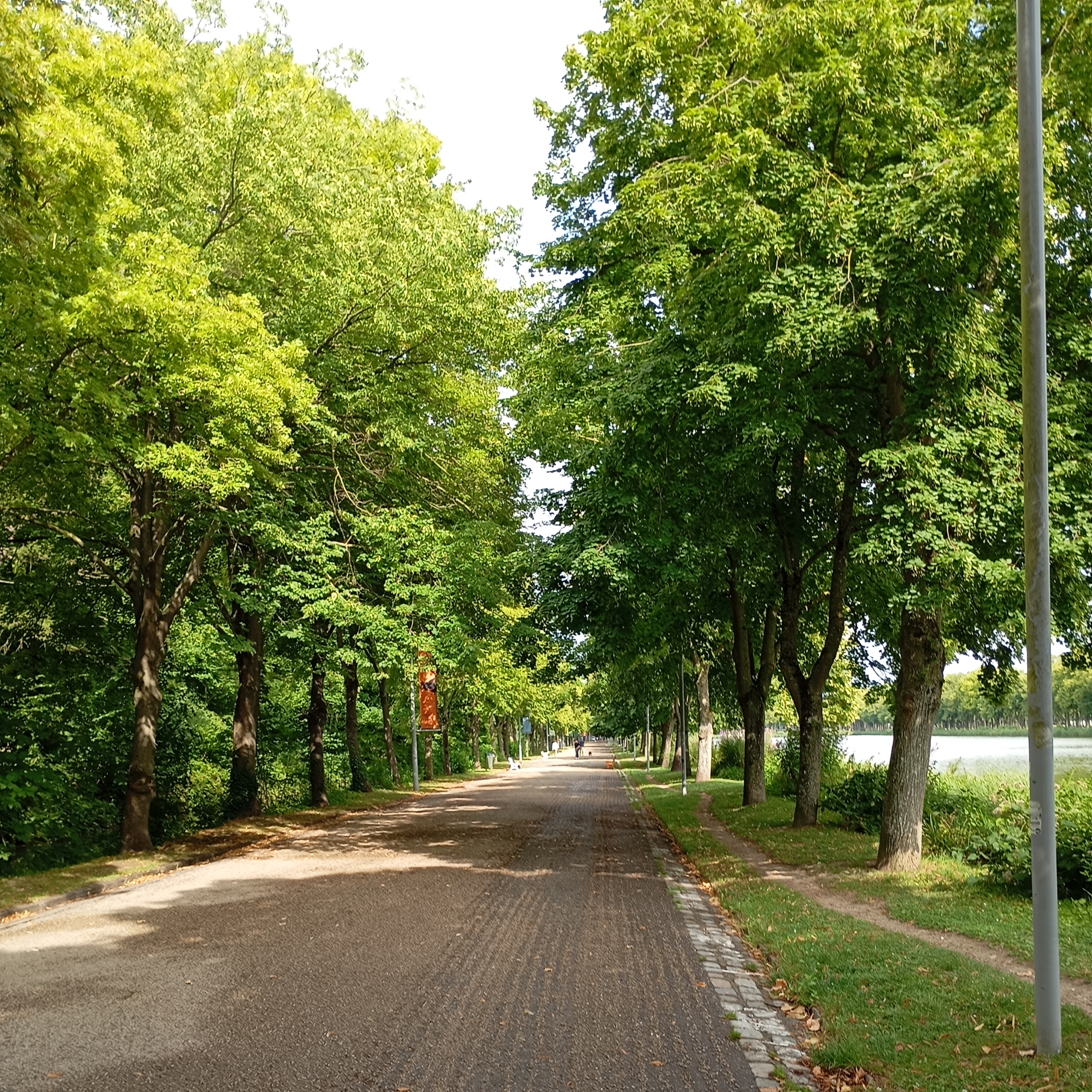 Parc de la Hotoie
