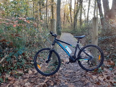Bois de Pau