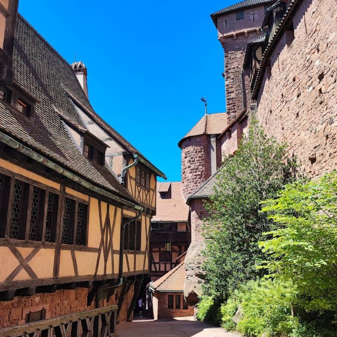 Photo 1 de Haut Koenigsbourg