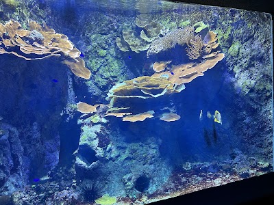 Photo 2 de Aquarium of Lyon 🐟🐠🎏