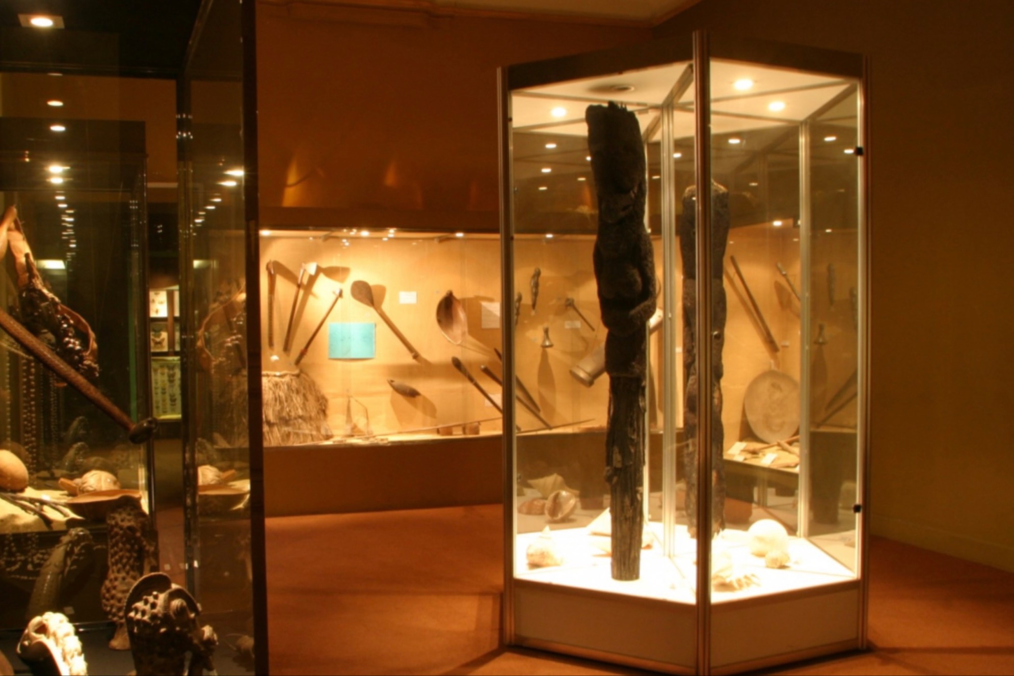 Muséum d'histoire naturelle