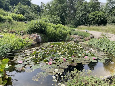 Photo 4 de Jardin Botanique Jean-Marie Pelt