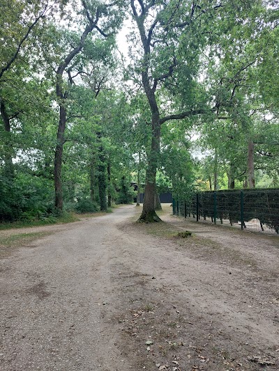 Bois de Thouars