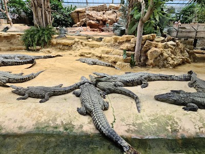 Photo 2 de La Ferme aux Crocodiles - Réserve Tropicale