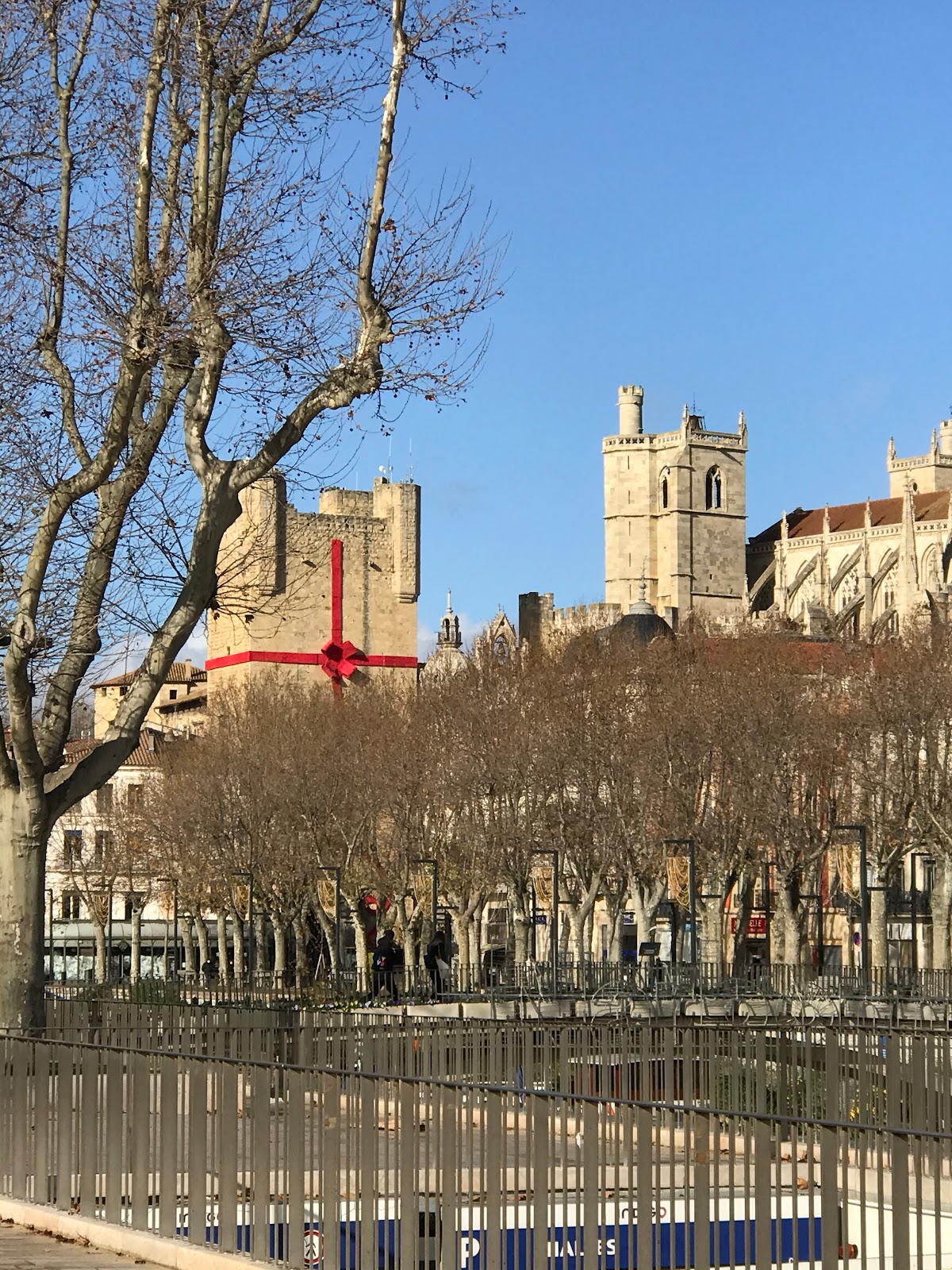 Photo 3 of Les Barques de Narbonne