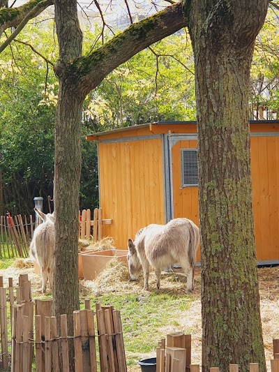 Photo 2 de La Ferme de la Villette