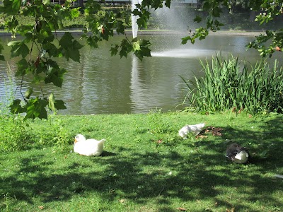 Photo 4 of La Tour des Dames