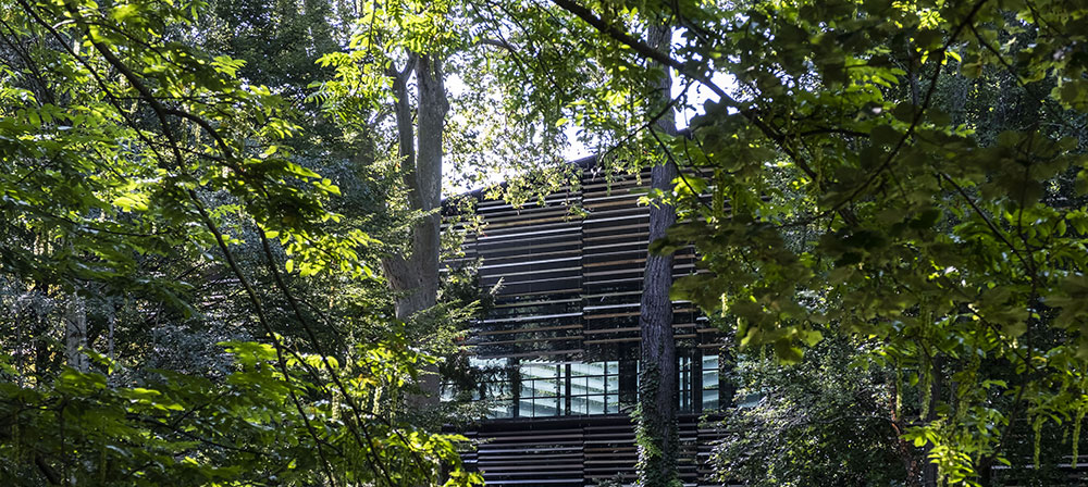 Photo 1 de Musée départemental Albert-Kahn