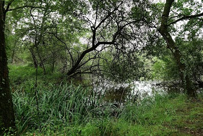 Photo 4 de Espace naturel des Rouchoux