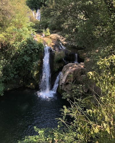 Photo 2 of Lac de Carcès