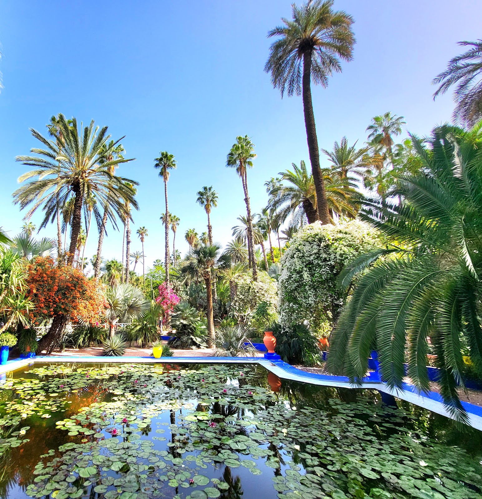 Photo 4 de Musée Pierre Bergé des arts berbères Jardin Majorelle