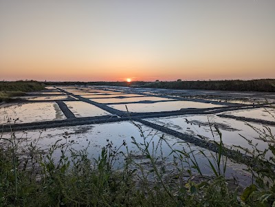 Photo 2 de Marais Salants de Guérande