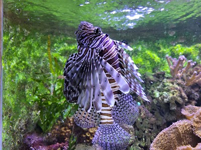 Photo 4 de Muséum-Aquarium de Nancy