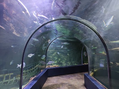 Photo 4 de Océarium du Croisic