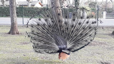 Photo 4 de Parc animalier de Nahuques