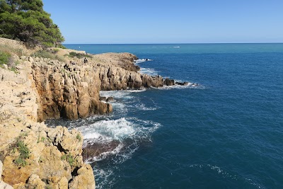 Le Sentier du Littoral