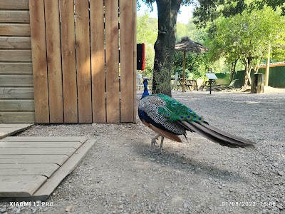 Photo 5 de La Vallée des Tortues
