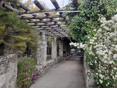 Photo 4 of Monastère de Cimiez
