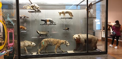 Photo 3 de Muséum-Aquarium de Nancy