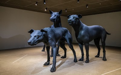 Photo 3 de Cartier Foundation for Contemporary Art