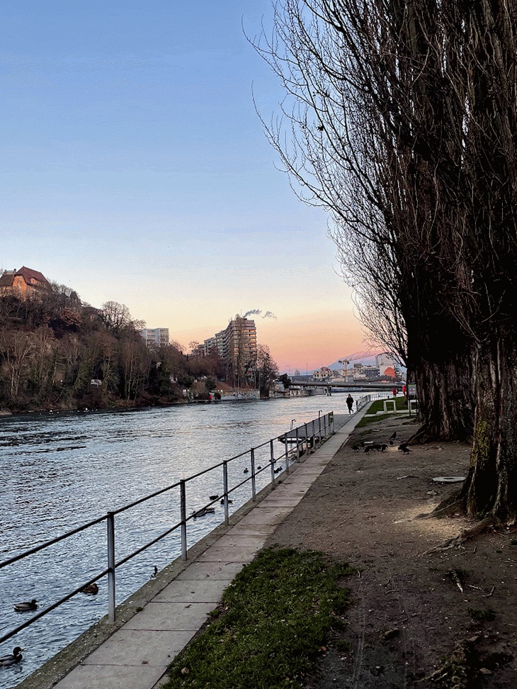 Quai du Rhône