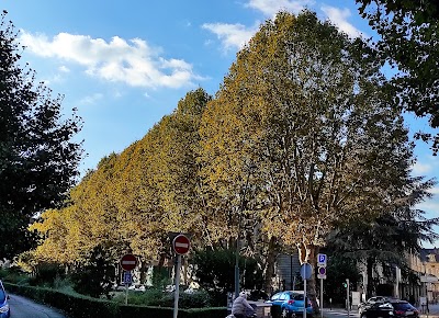 Photo 3 de Avenue Foch