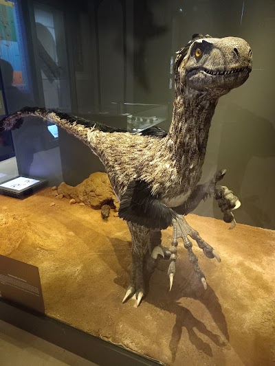 Photo 1 de Muséum départemental du Var