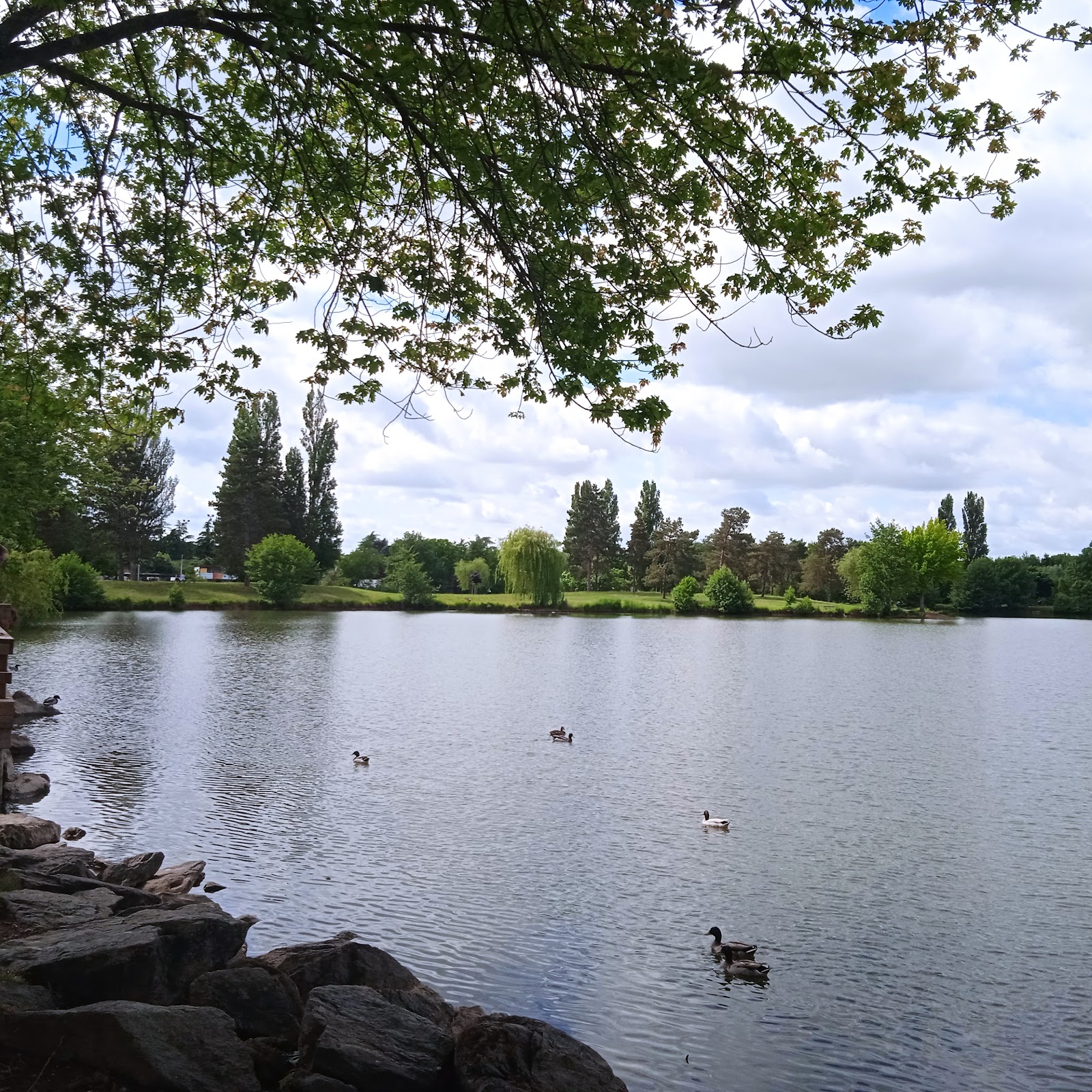 Parc de Belle-Isle