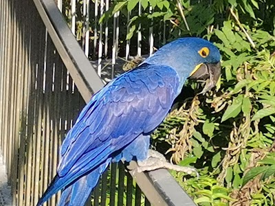 Photo 2 de Parc des Oiseaux