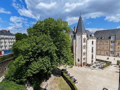 Photo 4 of Château des ducs de Bretagne