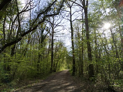 Photo 2 of Domaine du Donjon