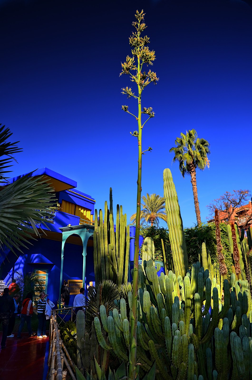 Photo 3 de Musée Pierre Bergé des arts berbères Jardin Majorelle