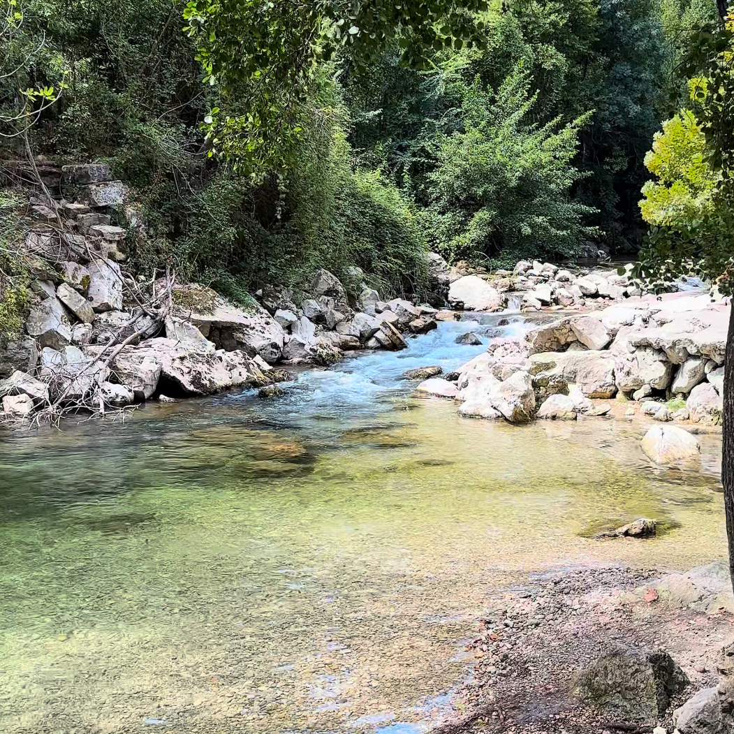 Les berges du Loup