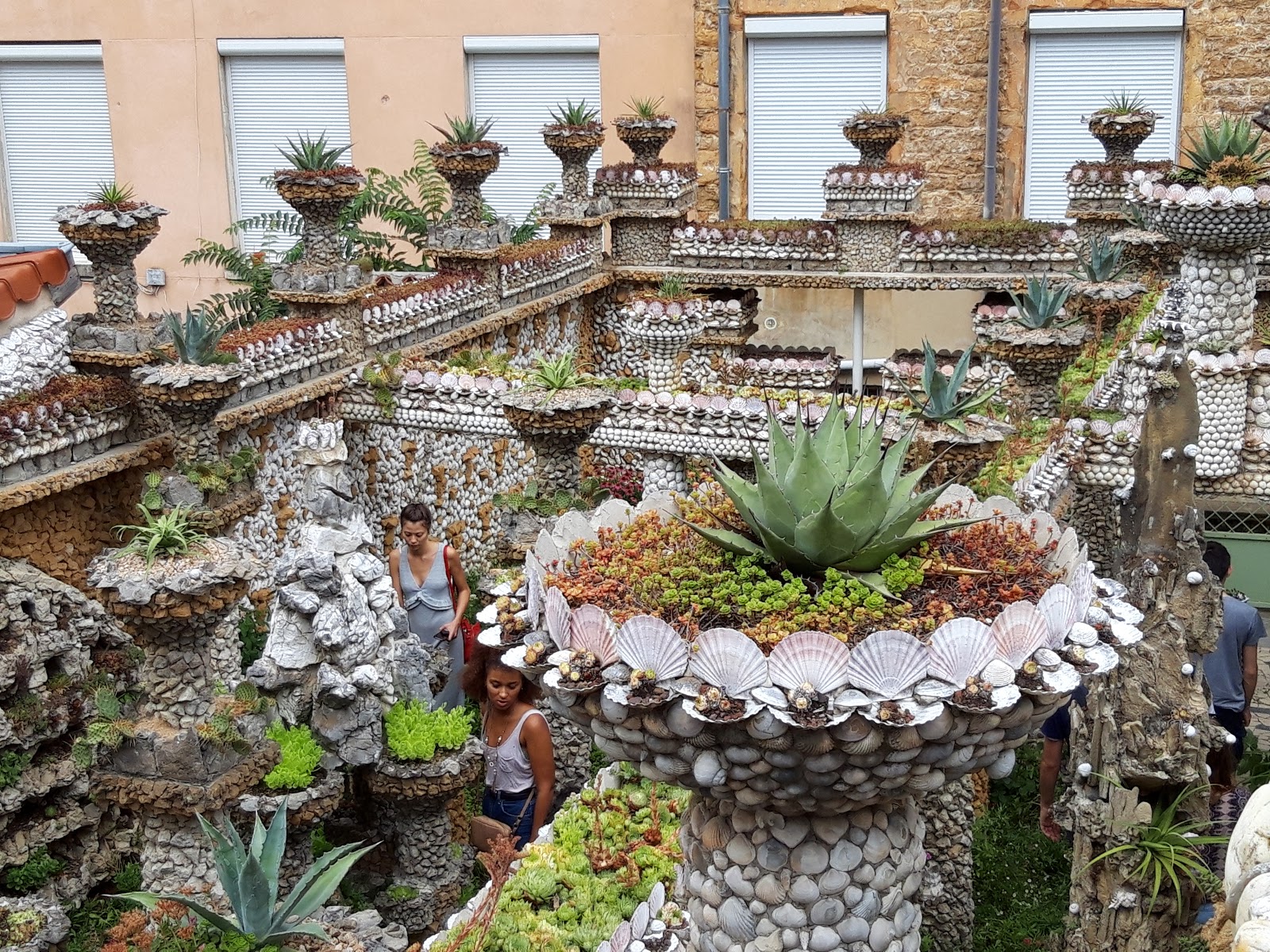 Photo 3 de Jardin Rosa Mir