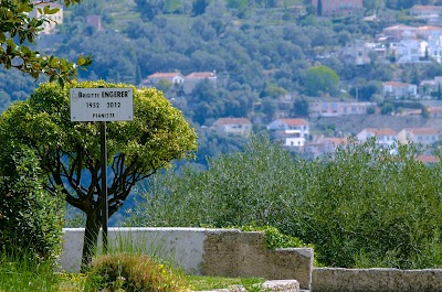 Photo 2 de Jardin du Monastère de Cimiez