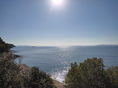 Photo 3 de Plage de Léoube