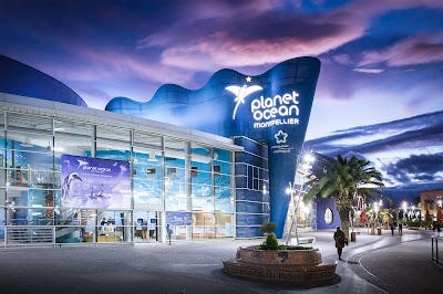 Photo 1 de Planet Ocean Montpellier