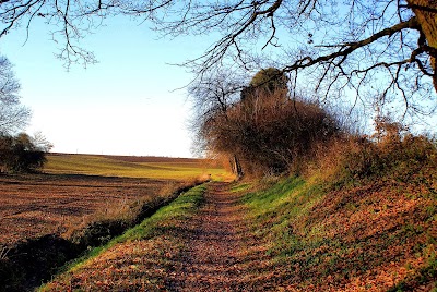 Photo 2 of Puiseux-en-France