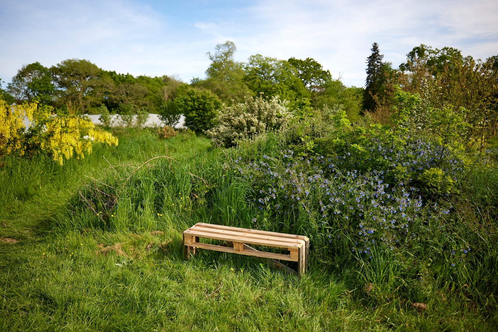 Photo 3 de Jardin des Mille Pas