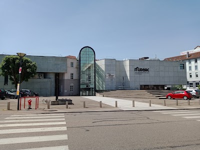 Photo 2 of Musée Départemental d'Art Ancien et Contemporain