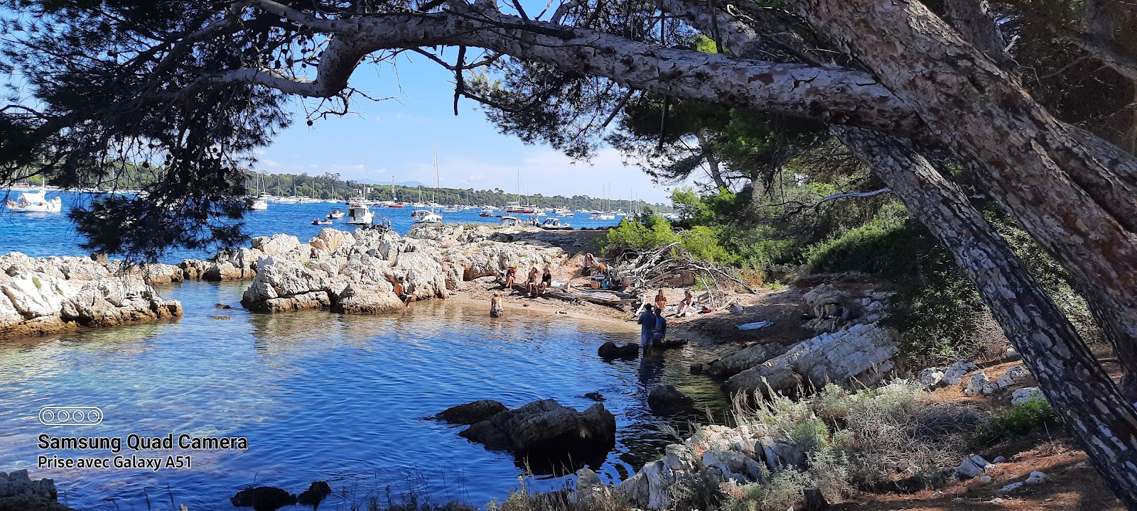 Photo 3 of Île Saint-Honorat - Cannes
