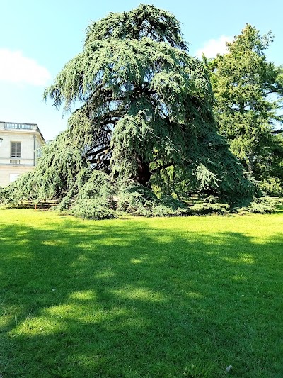 Photo 3 de Parc du Vivier
