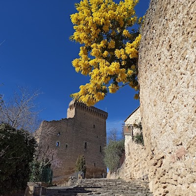Photo 3 of Châteauneuf-du-Pape