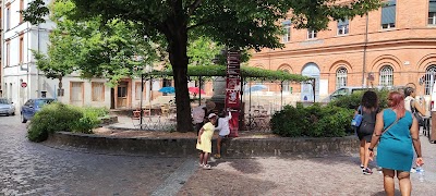 Photo 4 de Montauban